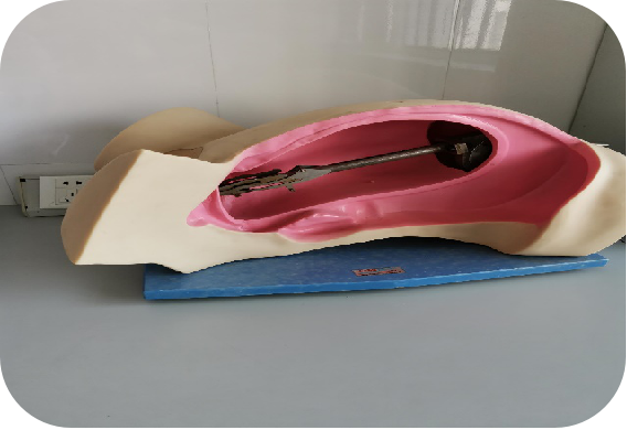 妇产科实训室设备