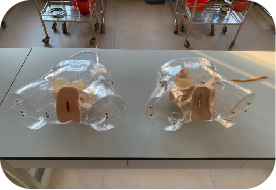 妇产科实训室设备