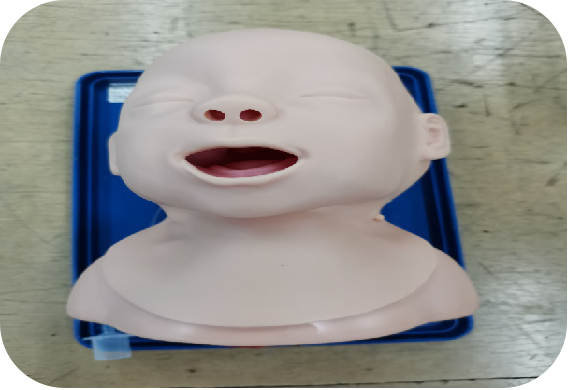 高级婴儿插管模型